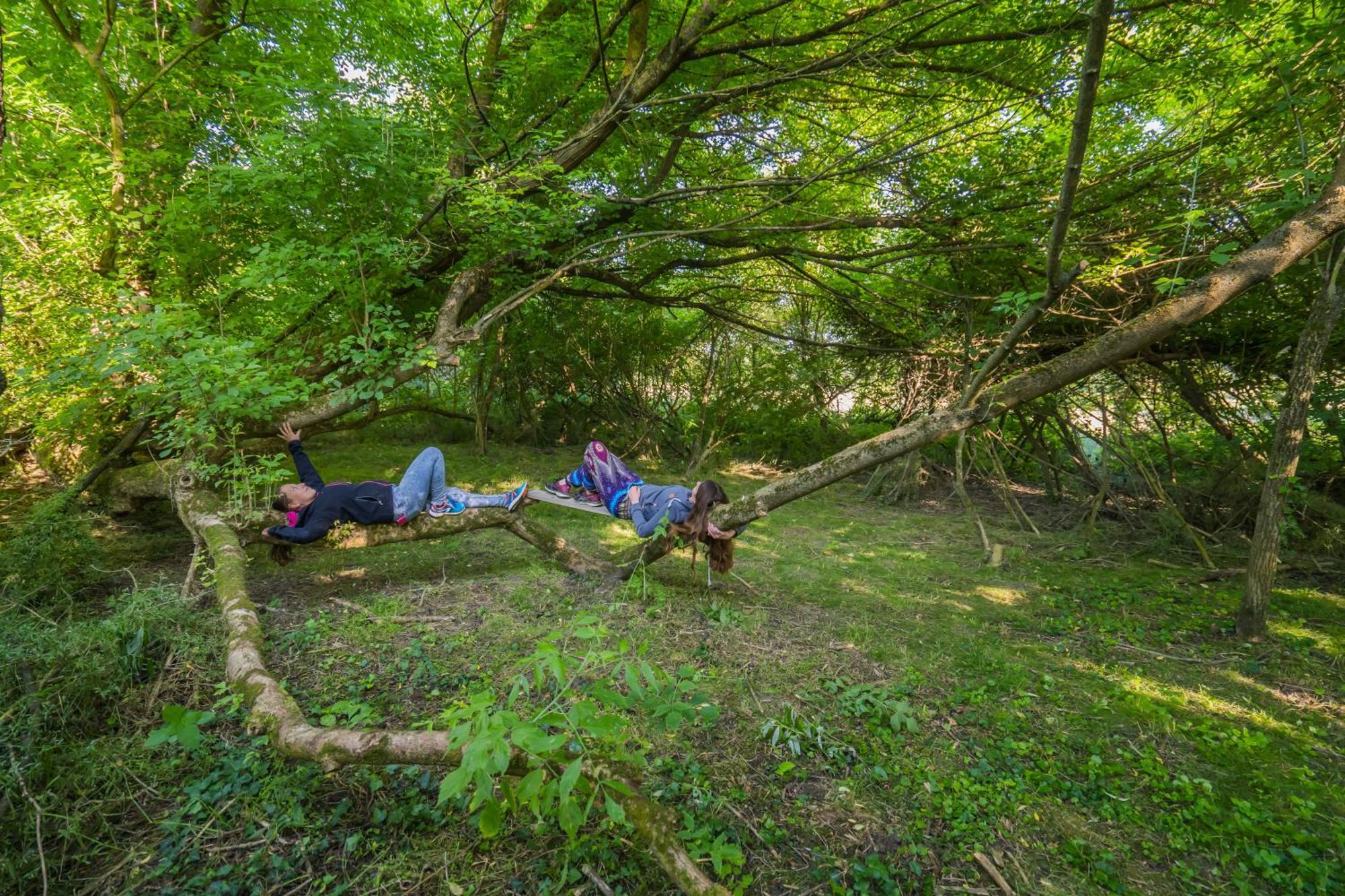 Szellos Ret Camping Balvanyos Dış mekan fotoğraf