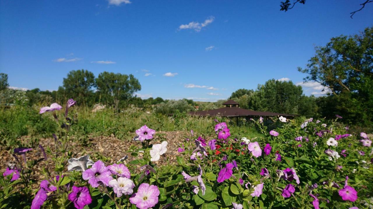 Szellos Ret Camping Balvanyos Dış mekan fotoğraf